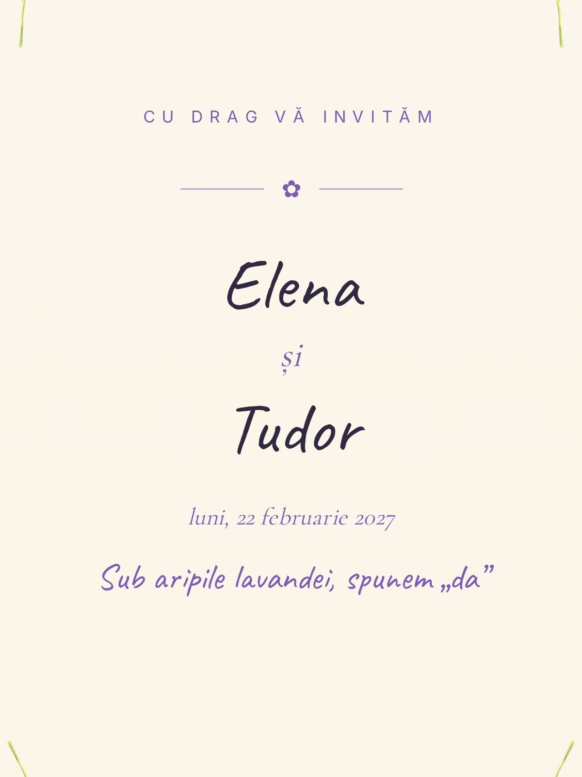 Previzualizare model Lavandă