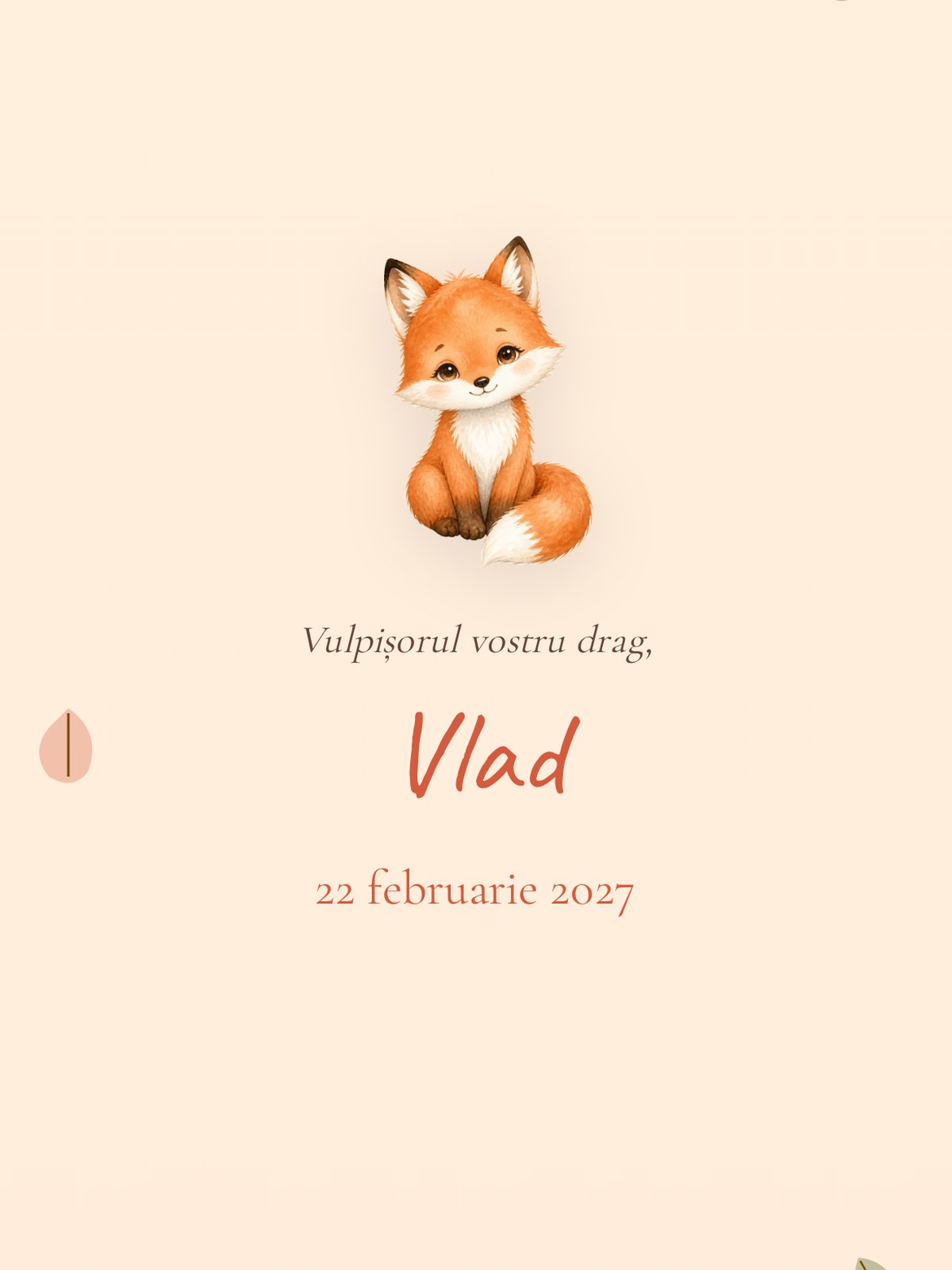 Previzualizare model Vulpiță